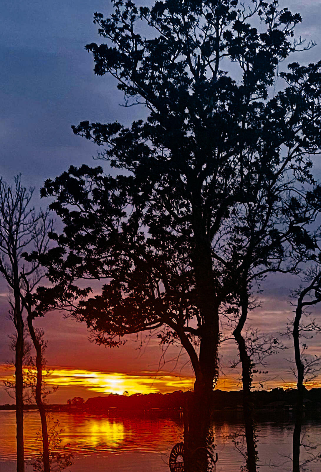 MARINA COVE VILLAGE PH 1 - Residential