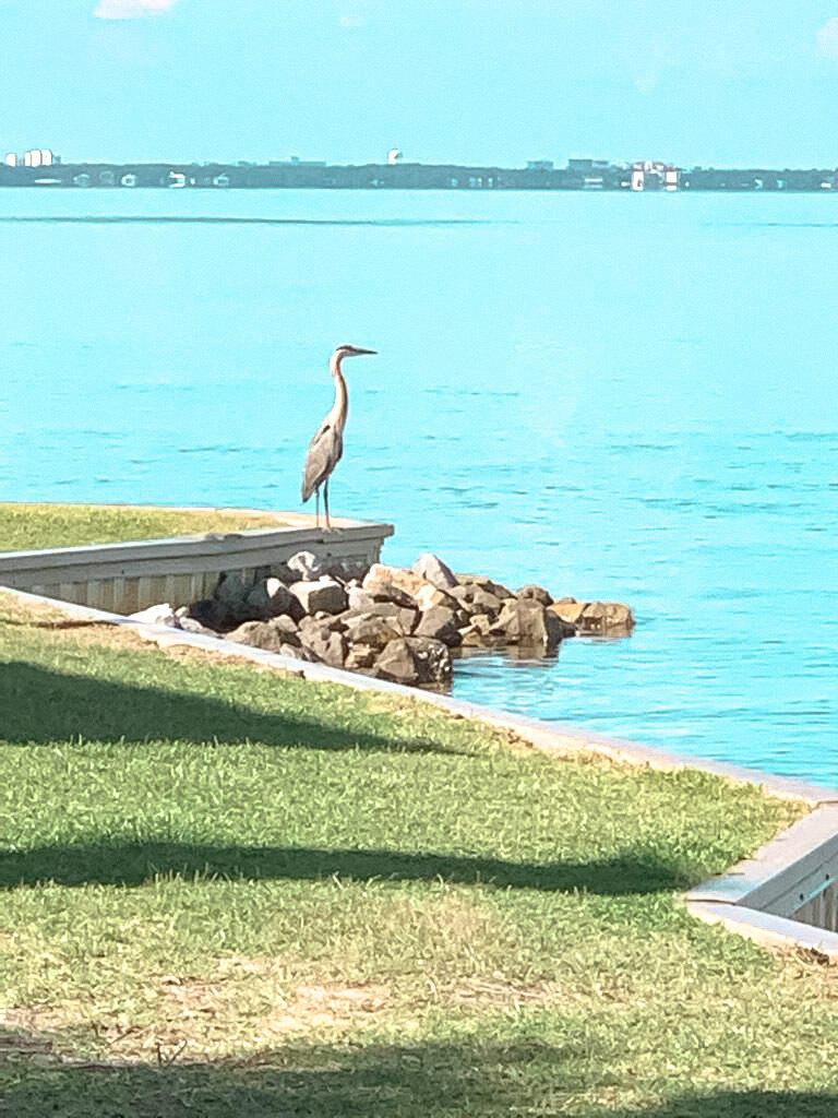 MARINA COVE VILLAGE PH 1 - Residential