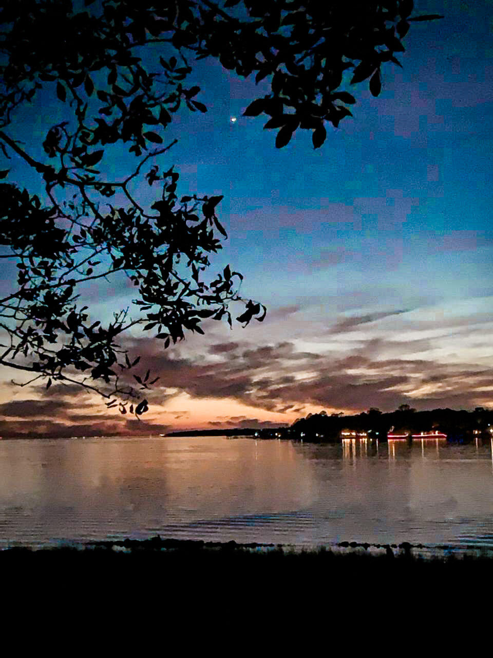 MARINA COVE VILLAGE PH 1 - Residential