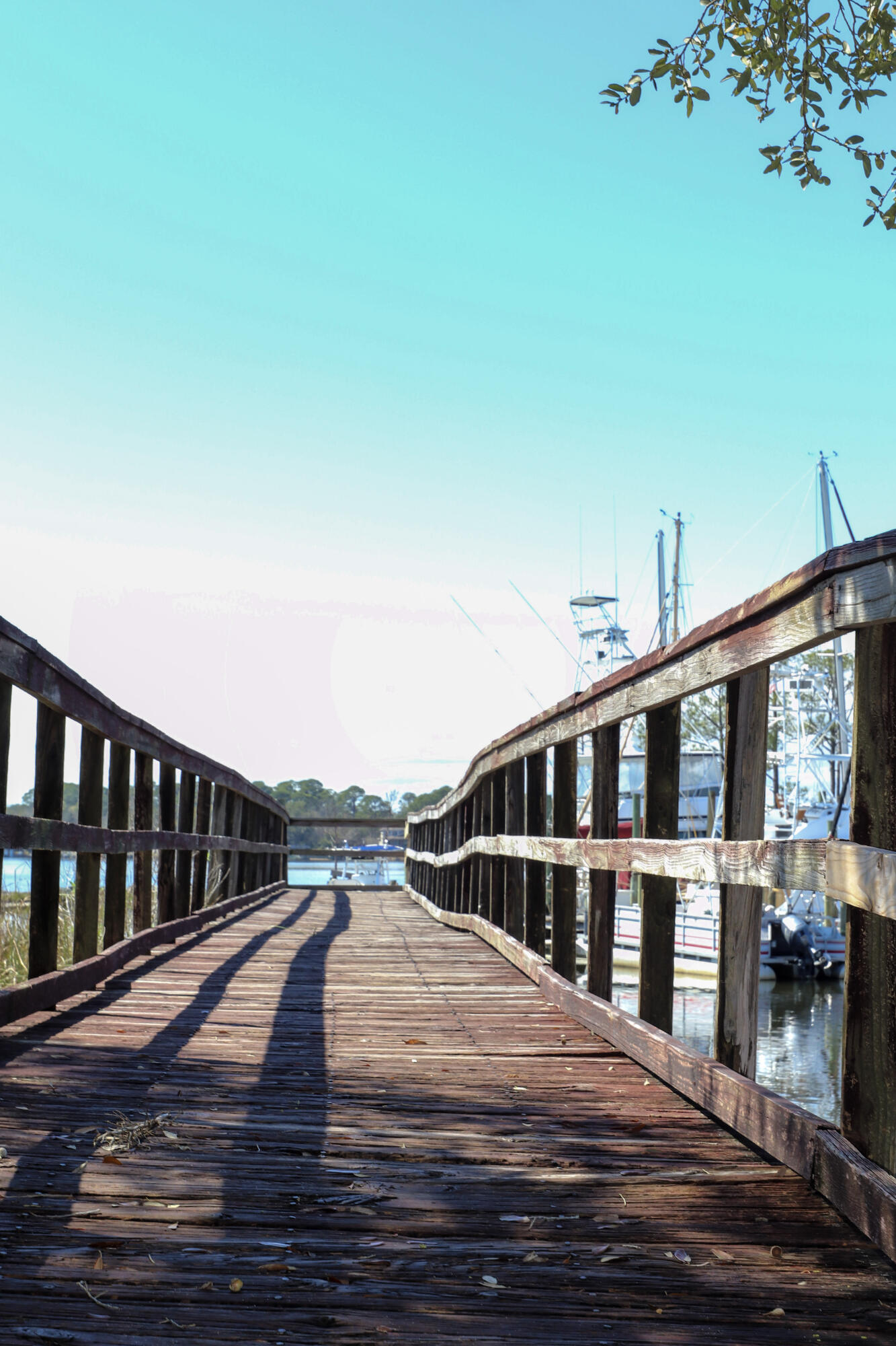 MARINA COVE VILLAGE PH 1 - Residential