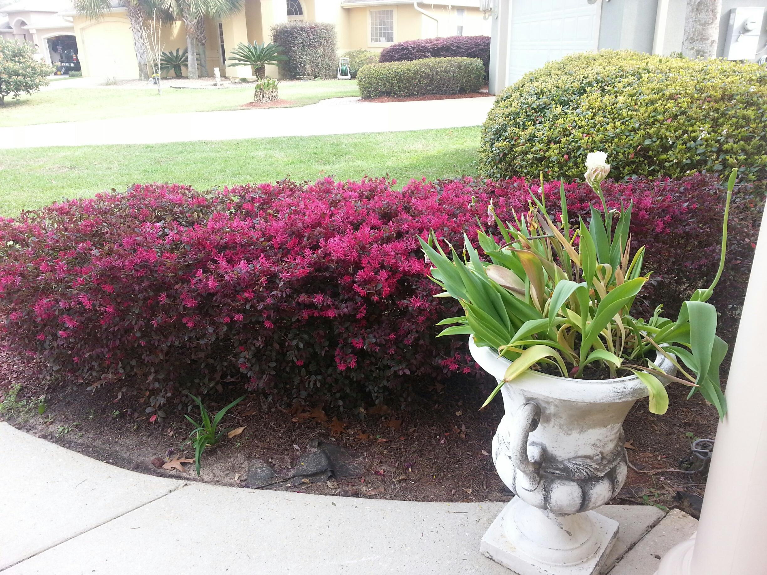 Chardonnay Estates - Residential