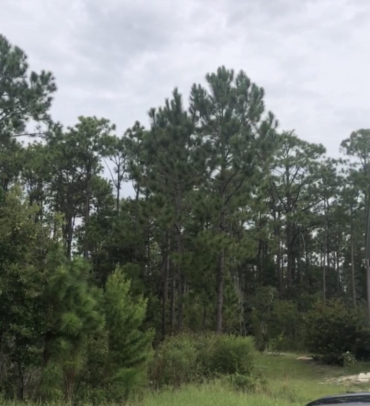 AUDUBON POINT - Land