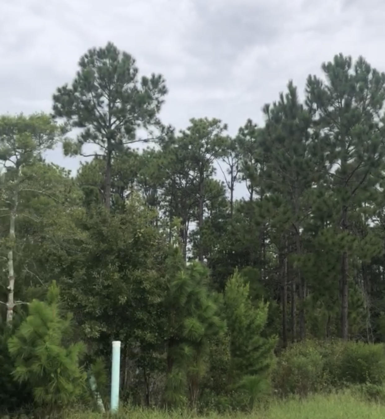 AUDUBON POINT - Land