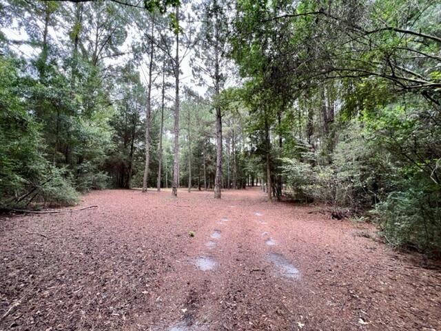 METES & BOUNDS - Land