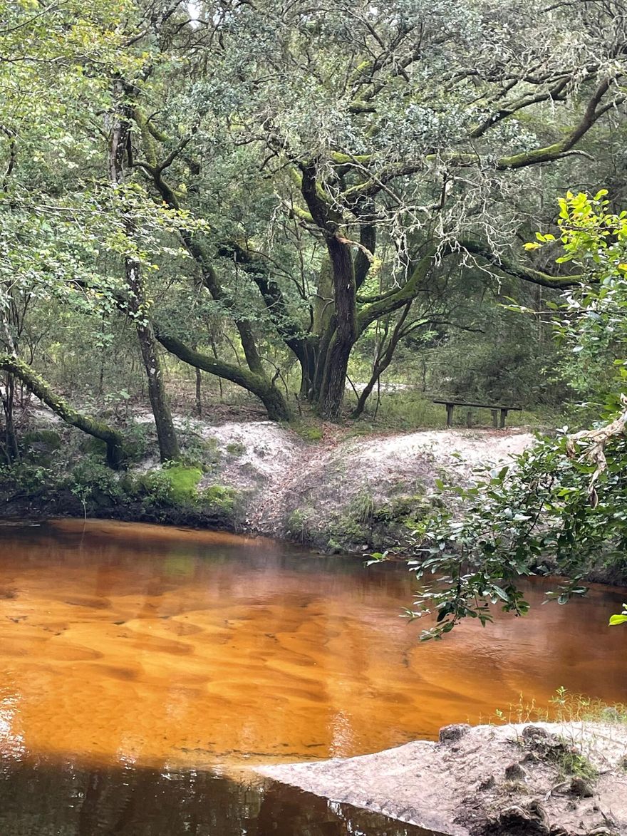 Spectacular, rare creek front 8.83 Acres resembling a park! Underbrush is cleared and plenty of trees left for shade. Holmes Creek with its white, sandy bottom, winds and flows through the property. Estimated at a varied 30-50' wide. It's already set up with a picnic table and firepit. This place would be an amazing getaway for family, friends, church groups, etc. Flood Zone AE so elevated construction may be required. There are no utilities but electric is at the road and would need well & septic. This is definitely one of those special properties that you don't want to miss.