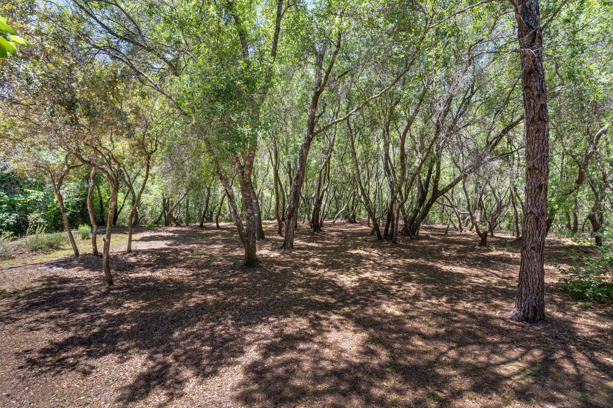 PEACH CREEK PH 1 - Residential