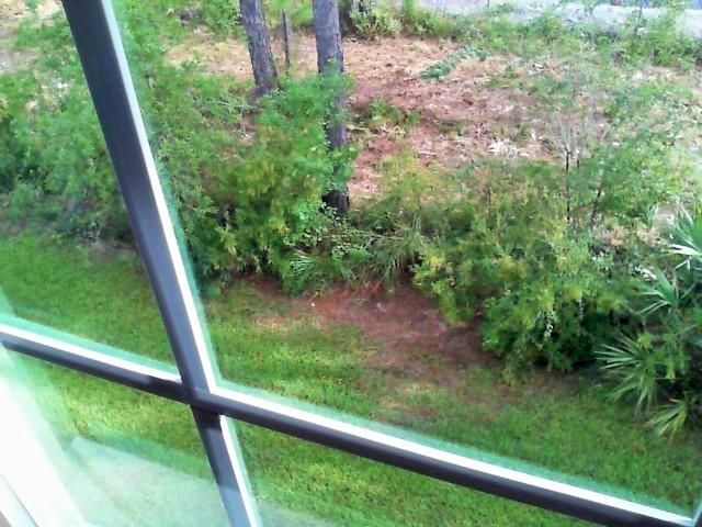 Water Oaks Townhomes - Residential