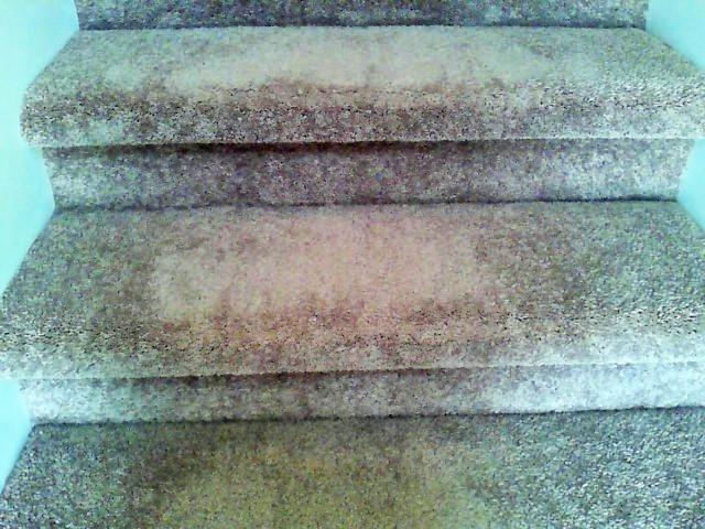 Water Oaks Townhomes - Residential