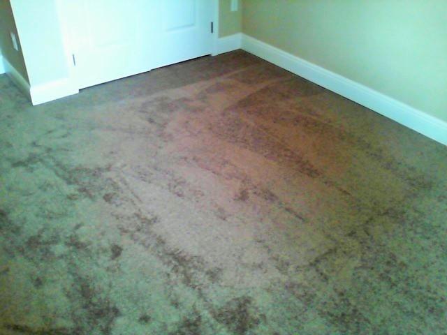 Water Oaks Townhomes - Residential