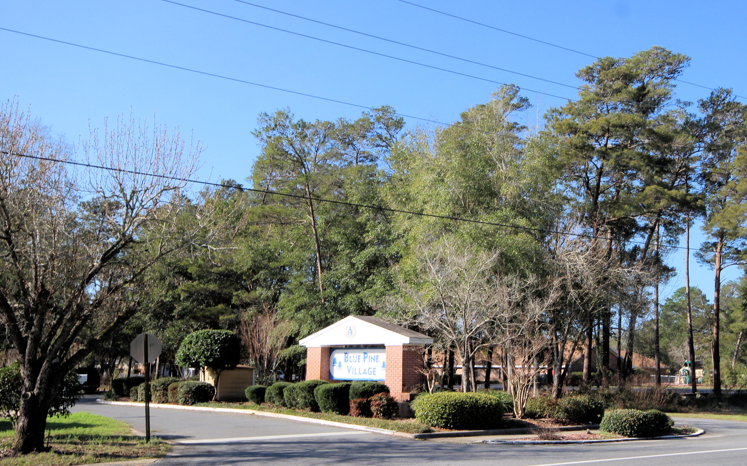 BLUE PINE VILLAGE - Residential