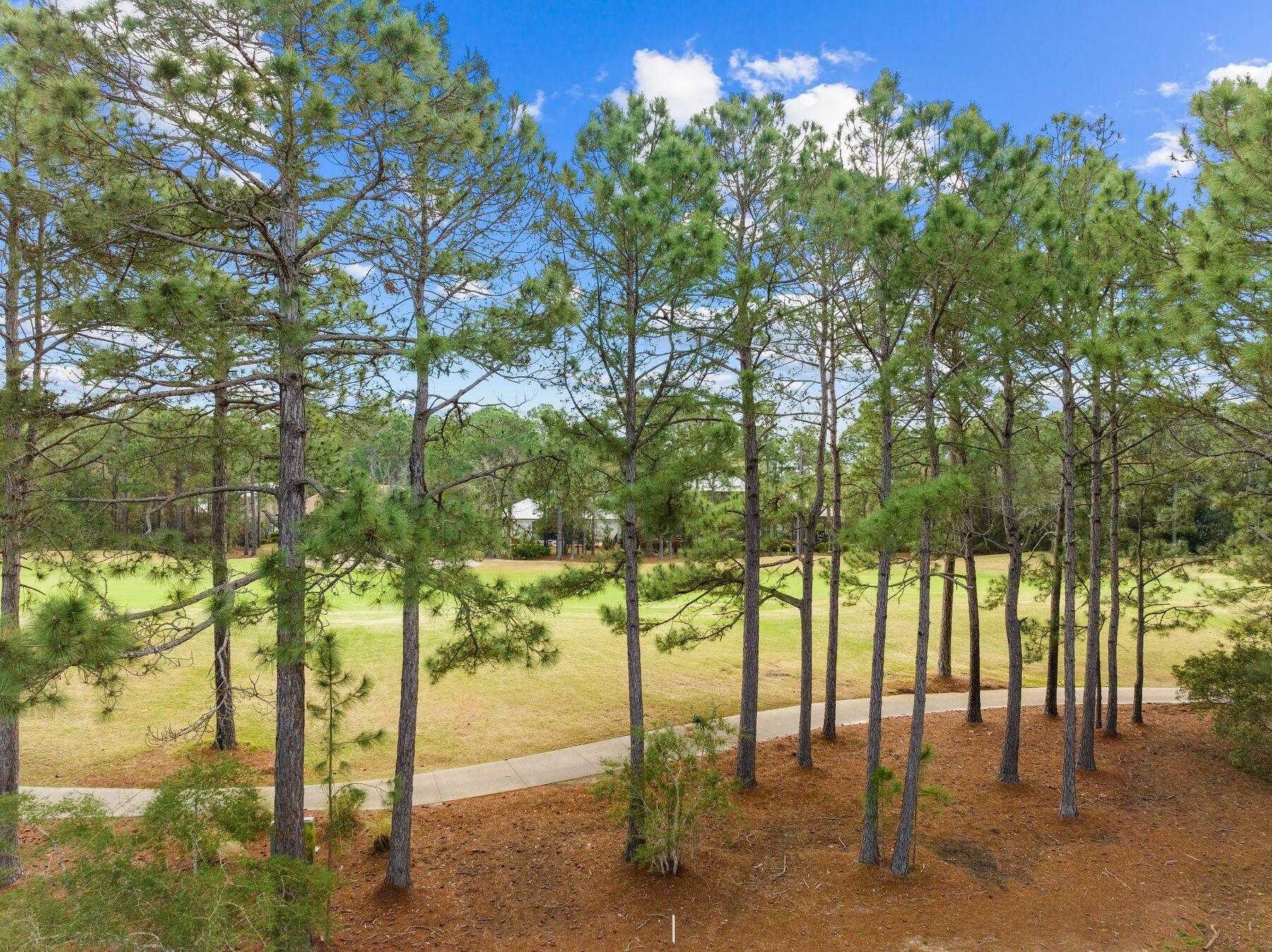 Burnt Pine - Land