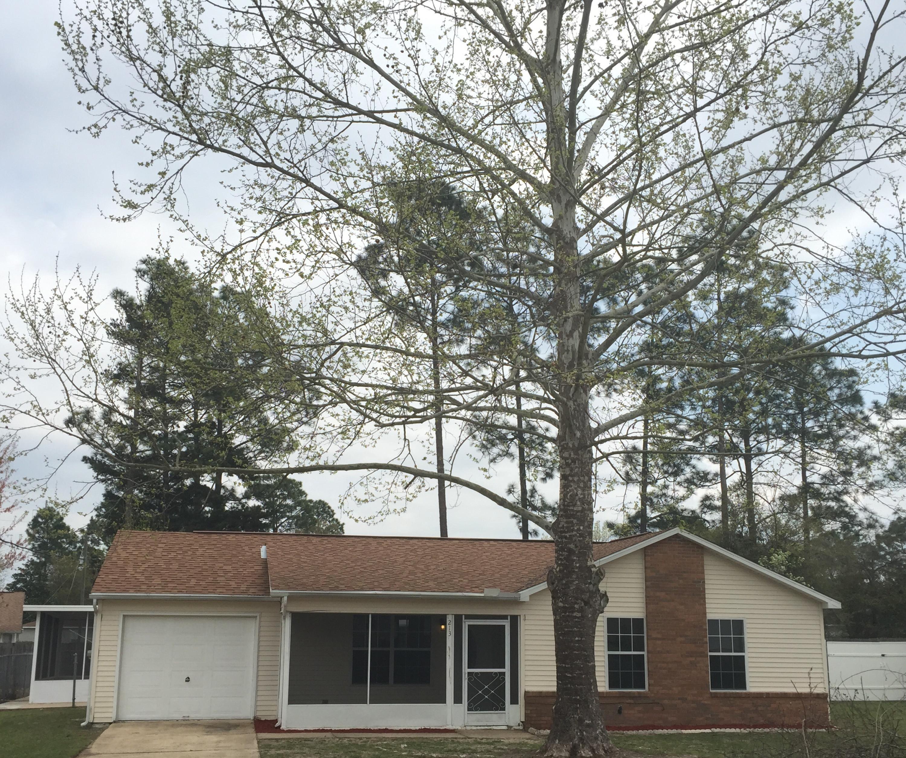 SOUTH POINTE EST - Residential