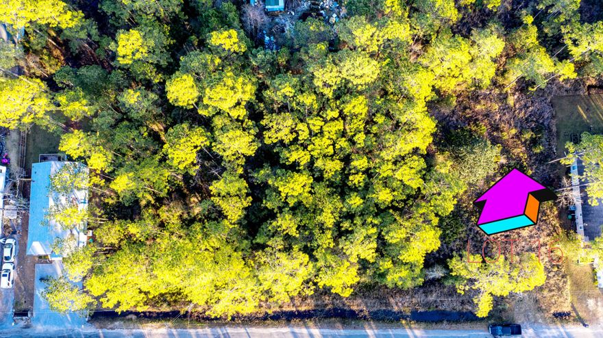 BEAUTIFUL lot, in desired Santa Rosa Beach, FL!!!!! PAVED ROAD. PUBLIC WATER AND SEWER AVAILABLE. Conveniently located just 1/2 mile to US Hwy 98. Only 3 miles to the word renown white sugary beaches of the Florida Emerald Coast. This property would be a nice site for your residence, a beach vacation home, or an income producing property. NO HOA. Short term rental allowed. The adjoining lot available for sale.