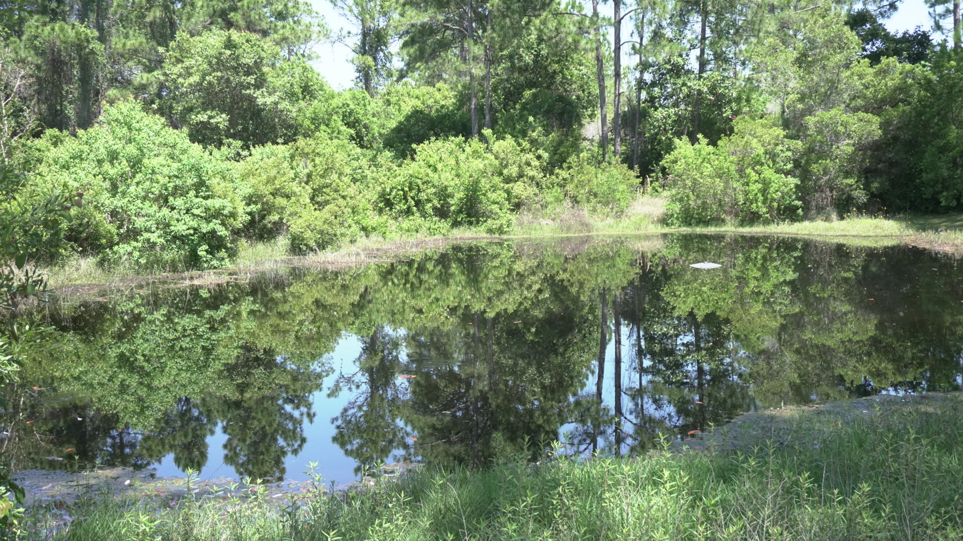 WYNNEHAVEN BEACH ESTATES - Residential