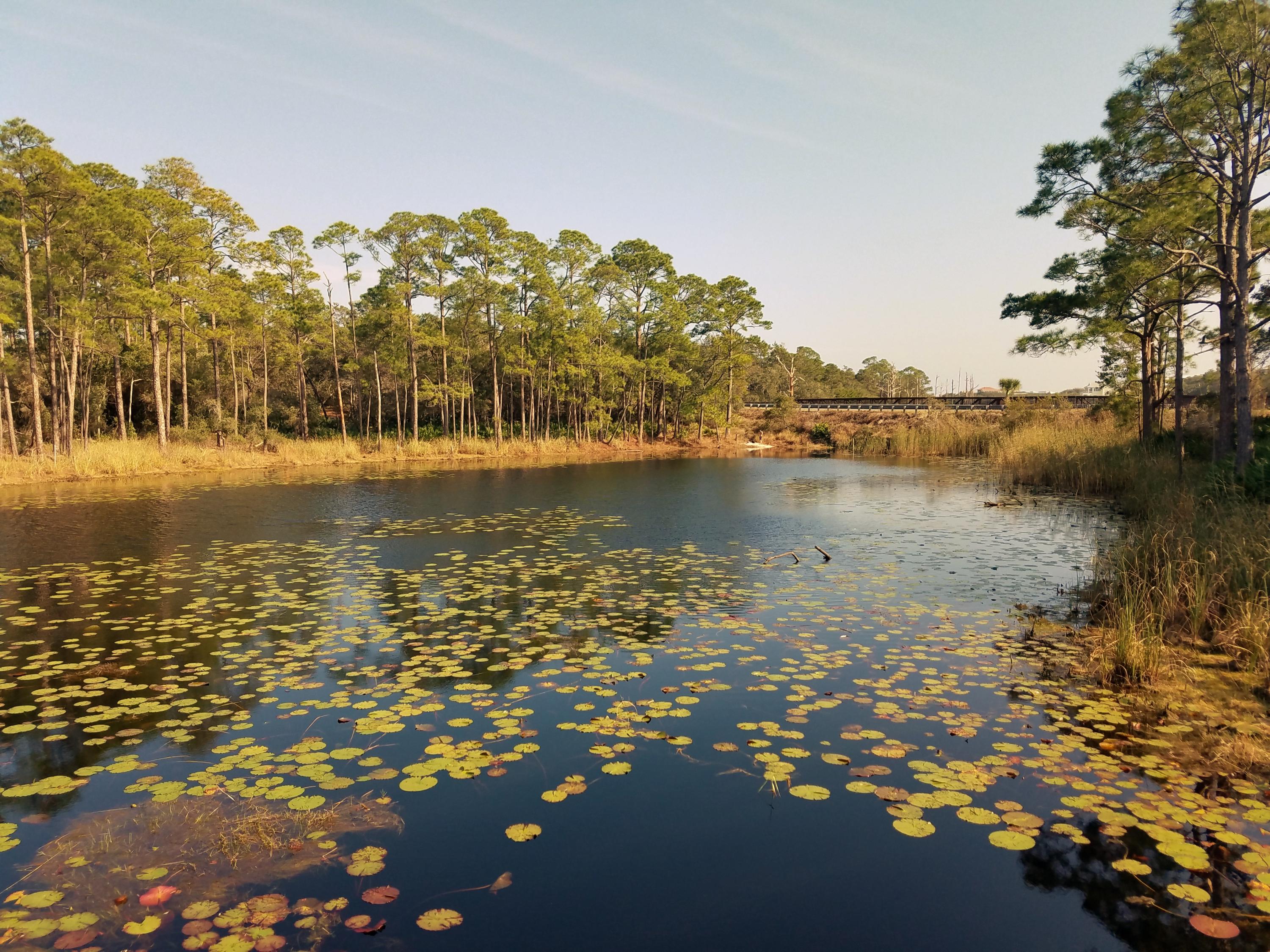 REDFISH VILLAGE - Residential