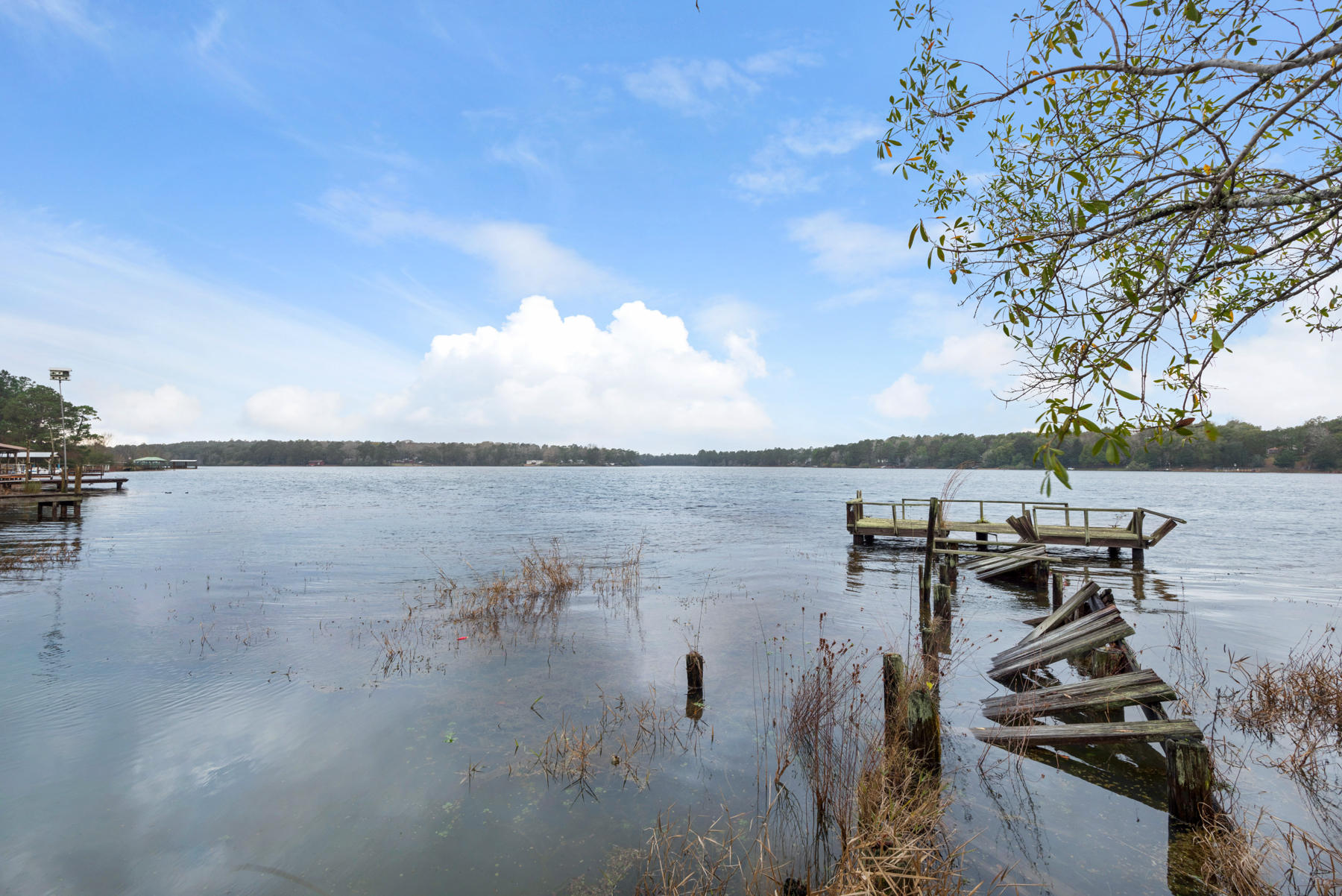 PARADISE ISLAND - Land