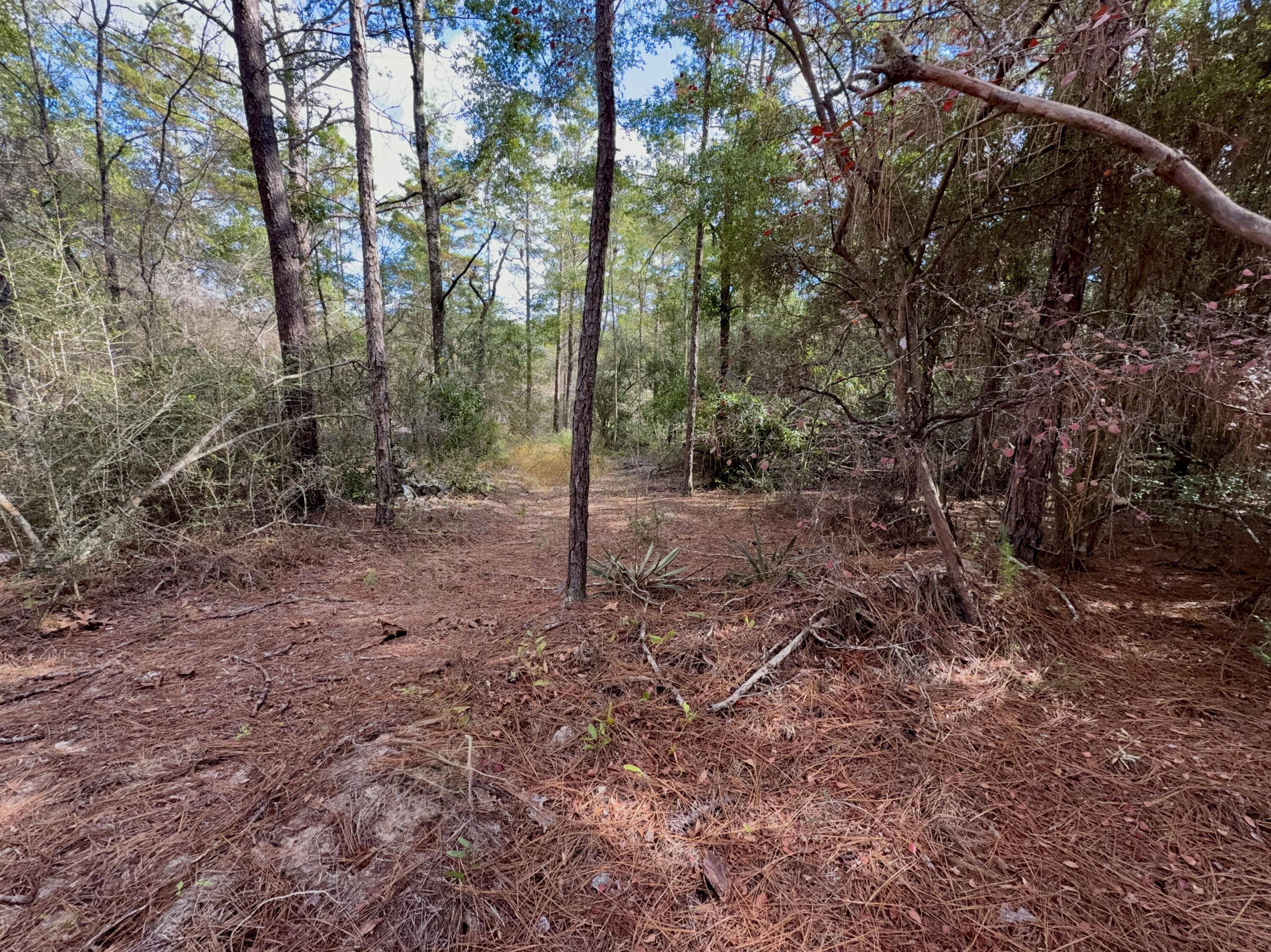 Oakwood Hills Unit I - Land