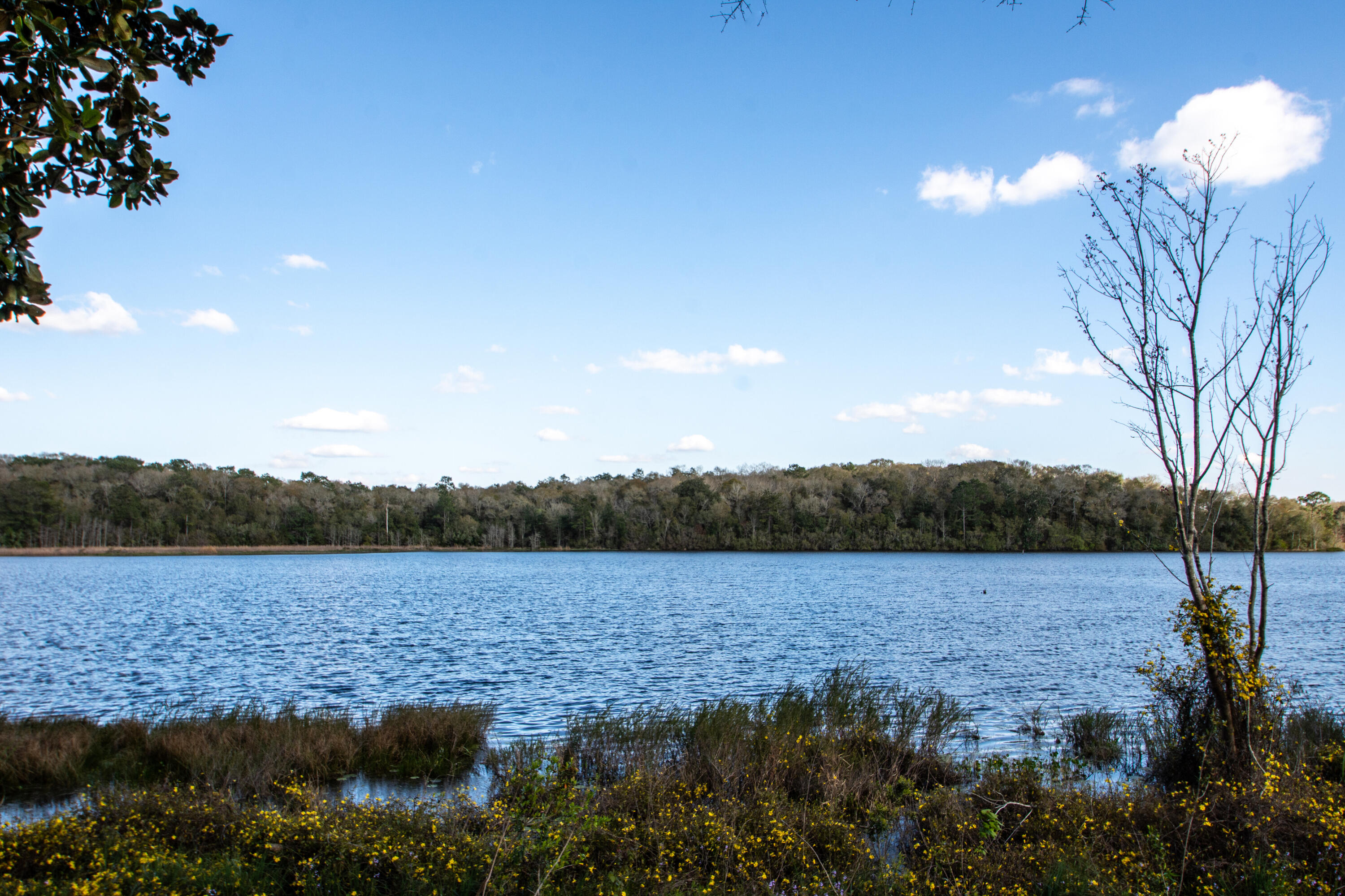 LAKE HOLLEY ESTATES - Land