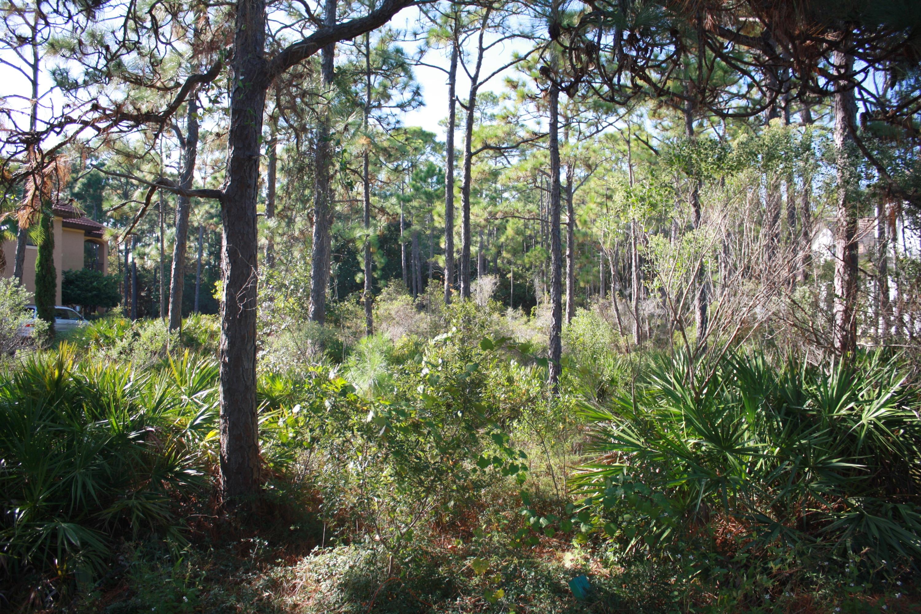 REGATTA BAY PH 3 - Land