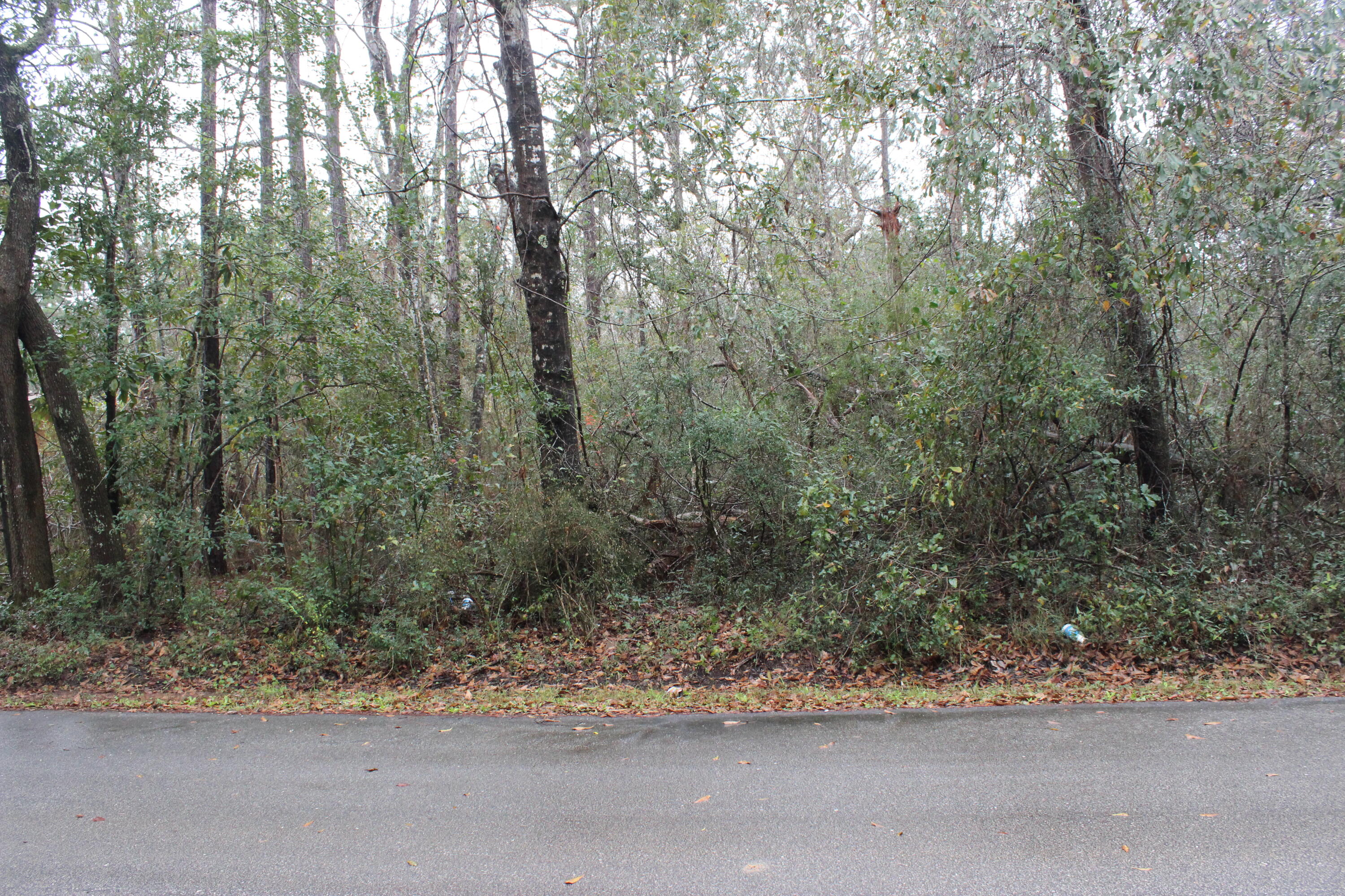 Affordable and beautiful wooded double lot in Avalon Beach. The lot is on a paved road waiting for your dream home to be built! Get easy access to water from one of the three boat launches in the area (Avalon Boat Ramp, Indian Bayou, Archie Glover Boat Ramp). This lot is conveniently located to I-10, Shopping, Restaurants, beaches, Pace, Gulf Breeze, and Pensacola. Buyer to verify all measurements and pertinent information.