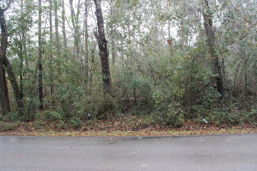 Affordable and beautiful wooded double lot in Avalon Beach.  The lot is on a paved road waiting for your dream home to be built!  Get easy access to water from one of the three boat launches in the area (Avalon Boat Ramp, Indian Bayou, Archie Glover Boat Ramp).  This lot is conveniently located to I-10, Shopping, Restaurants, beaches, Pace, Gulf Breeze, and Pensacola. Buyer to verify all measurements and pertinent information.