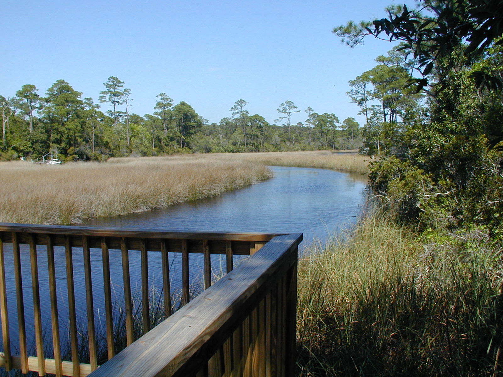 THE PRESERVE AT INLET BEACH - Land