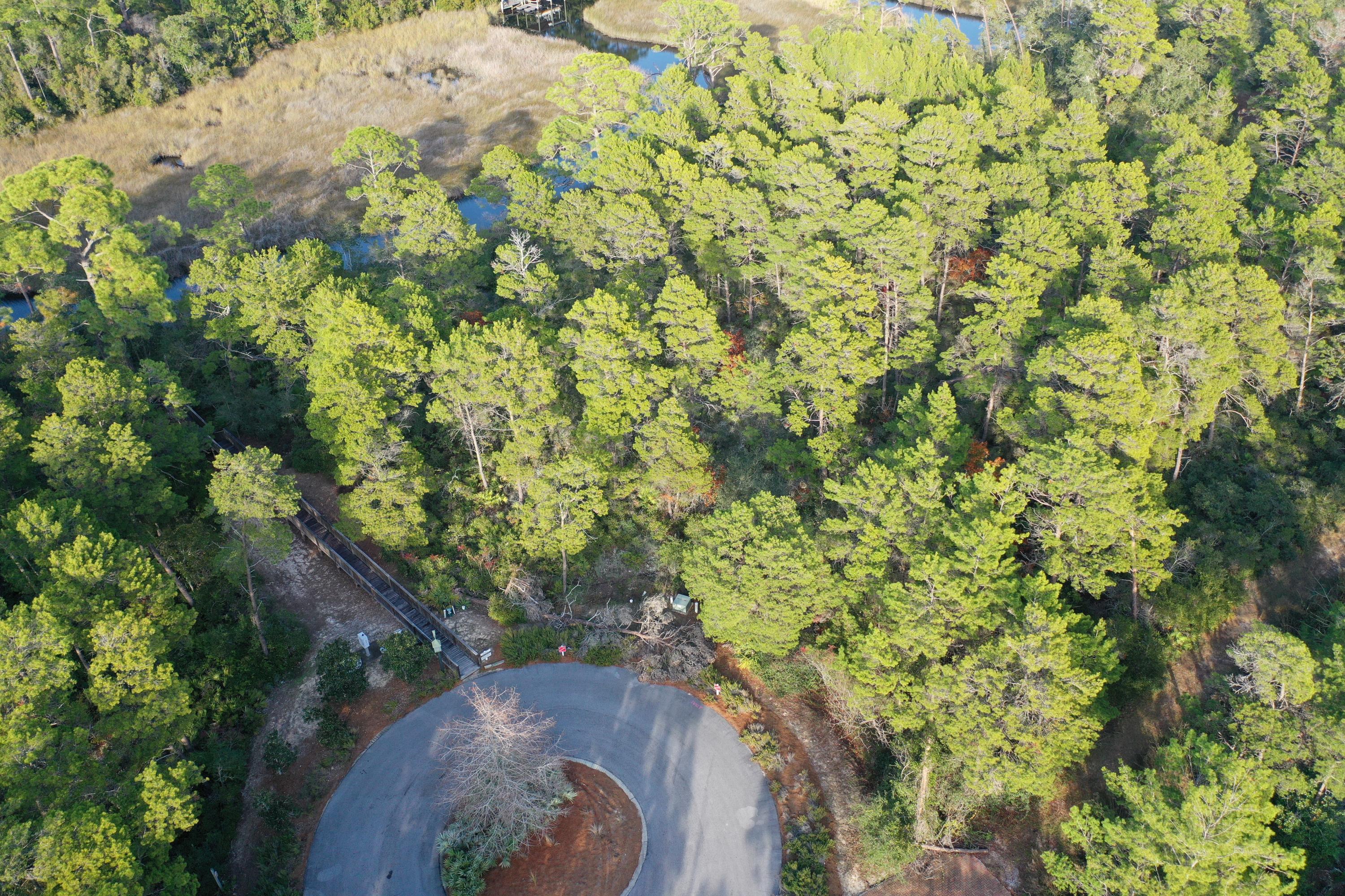 THE PRESERVE AT INLET BEACH - Land