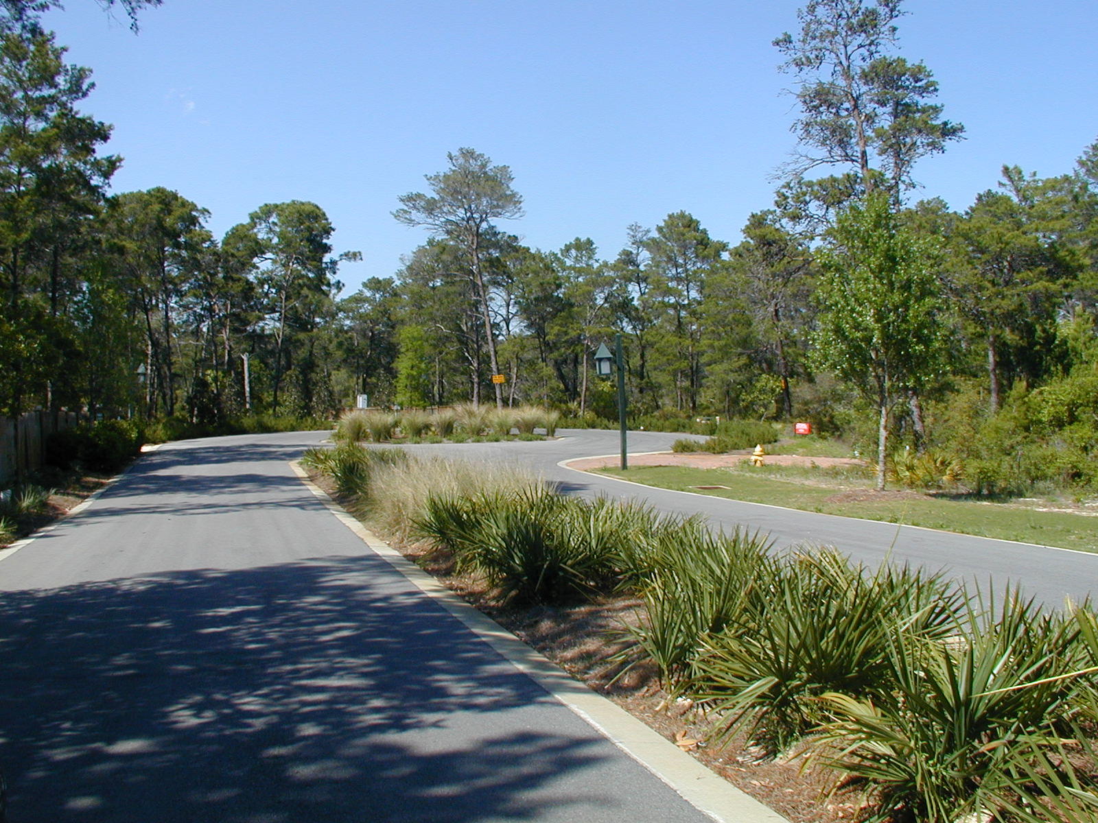 THE PRESERVE AT INLET BEACH - Land