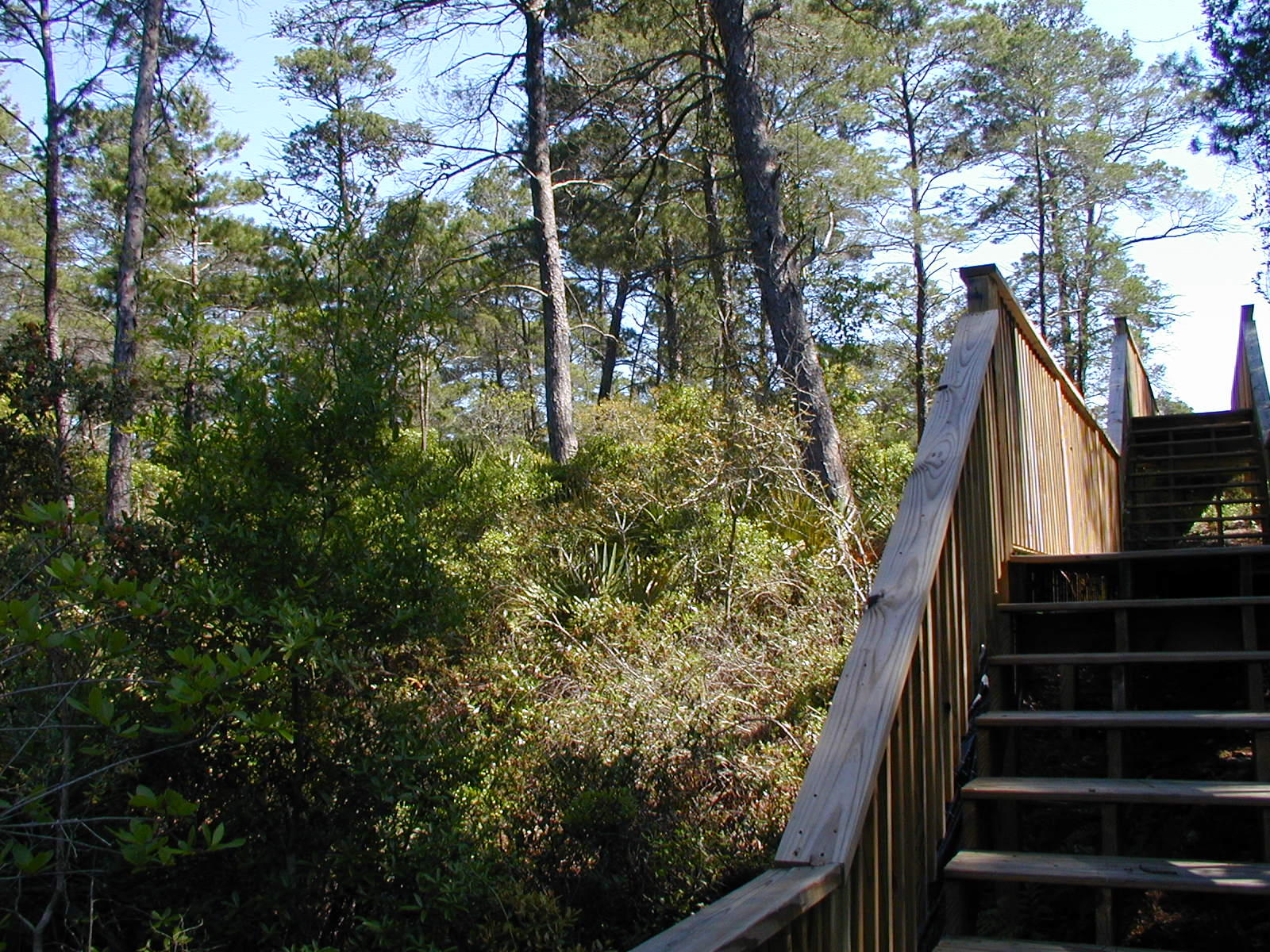 THE PRESERVE AT INLET BEACH - Land