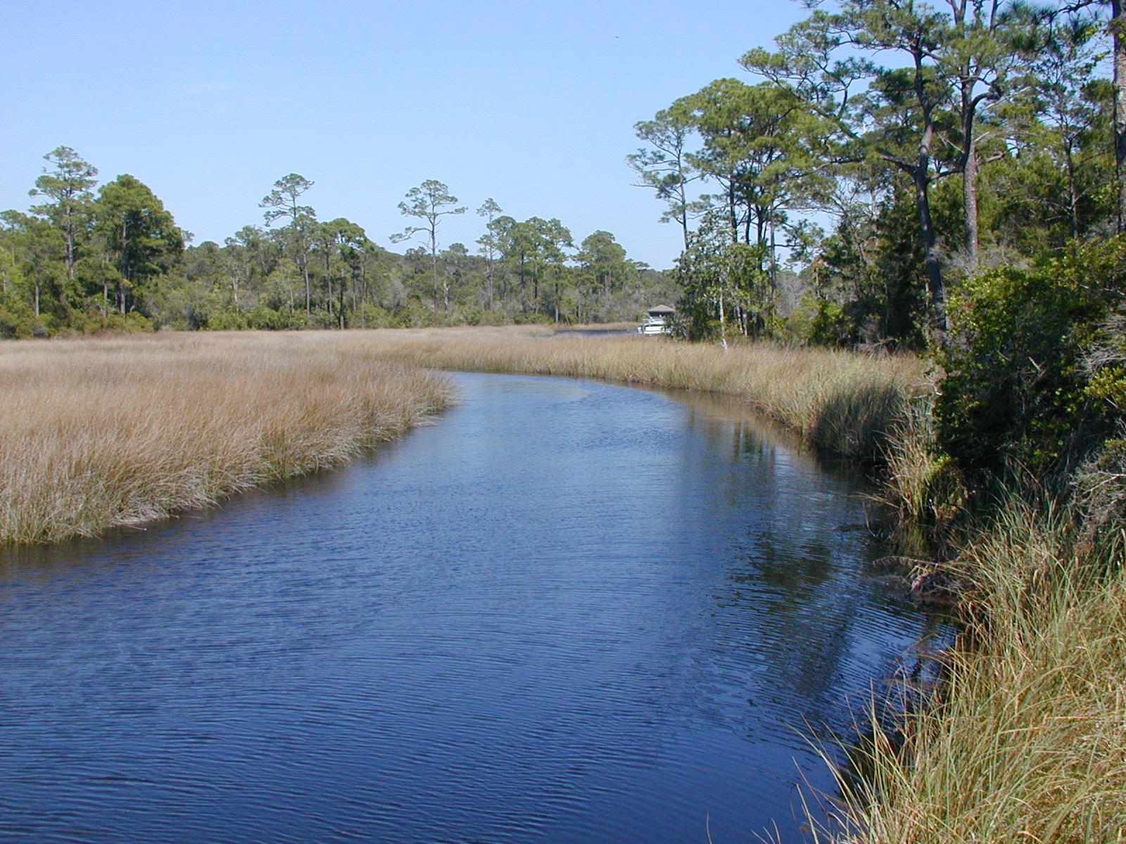 This pristine waterfront lot is located in a private community. Head to the beach on Lake Powell, swim in the community pool, or take you're golf cart to 30Avenue, and 30A, for shopping and dining. The Preserve at Inlet Beach is well situated to all these amenities, and activities. This is 1 of 2 waterfront lots in the subdivision. Lot 25 is under contract.