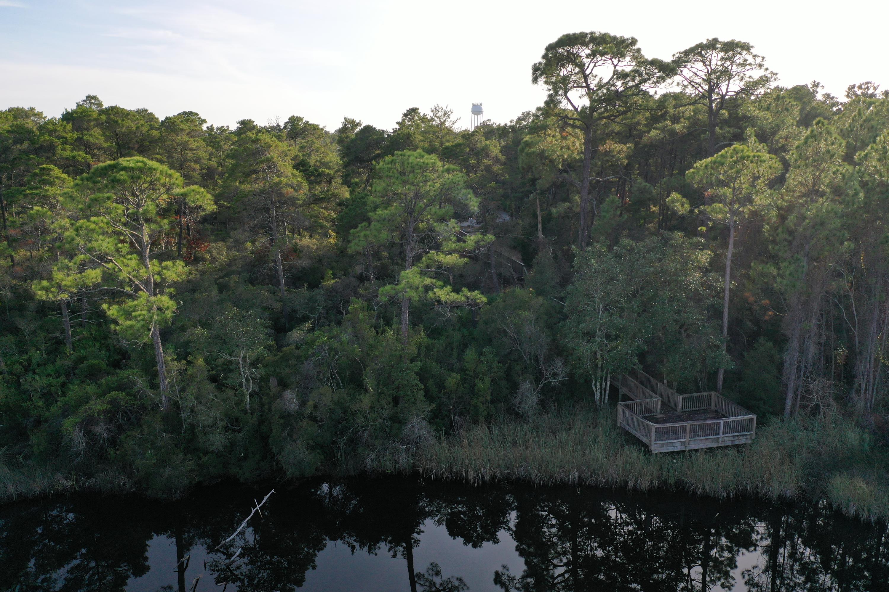 THE PRESERVE AT INLET BEACH - Land