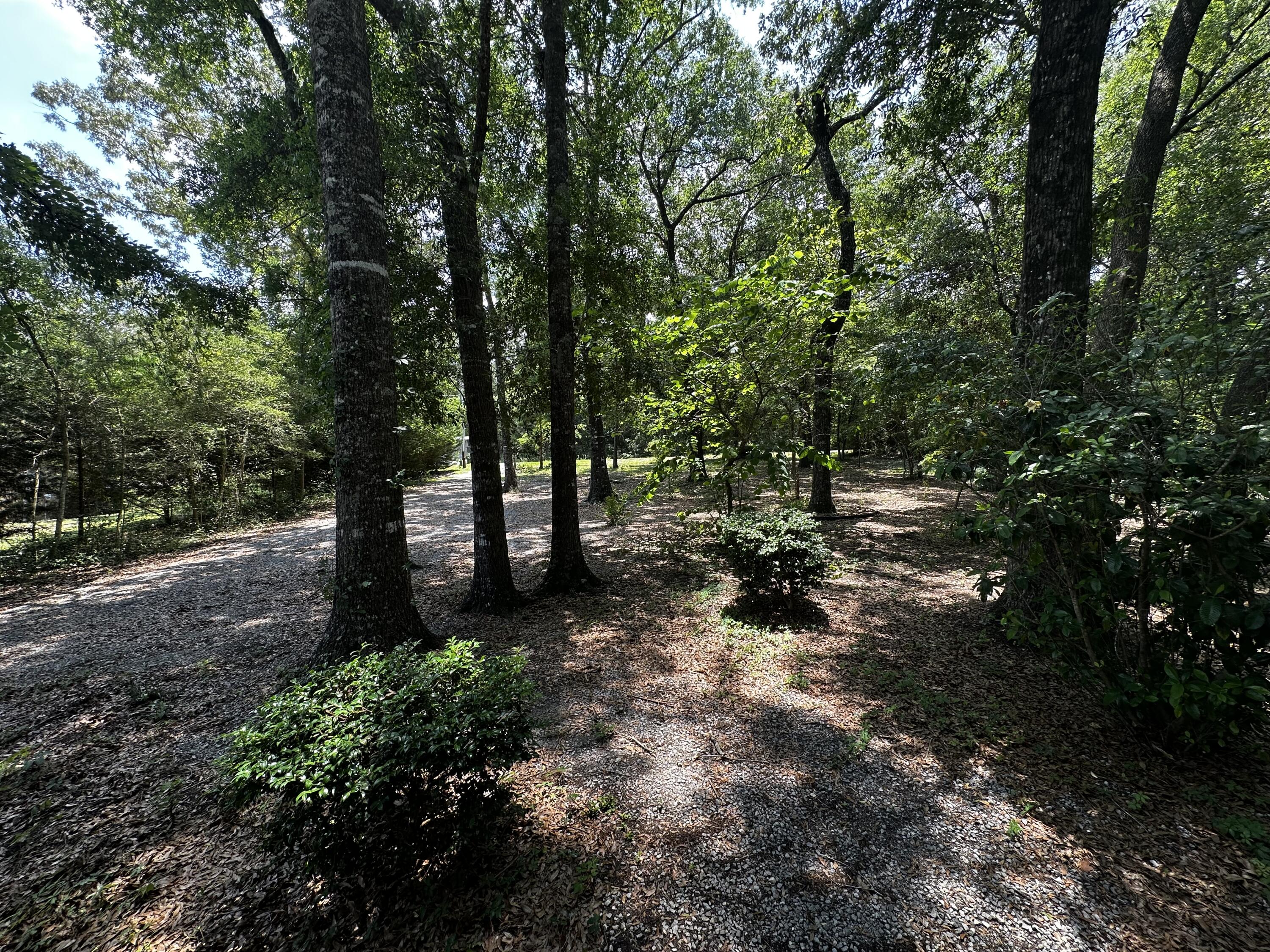 DOGWOOD TERRACE - Residential