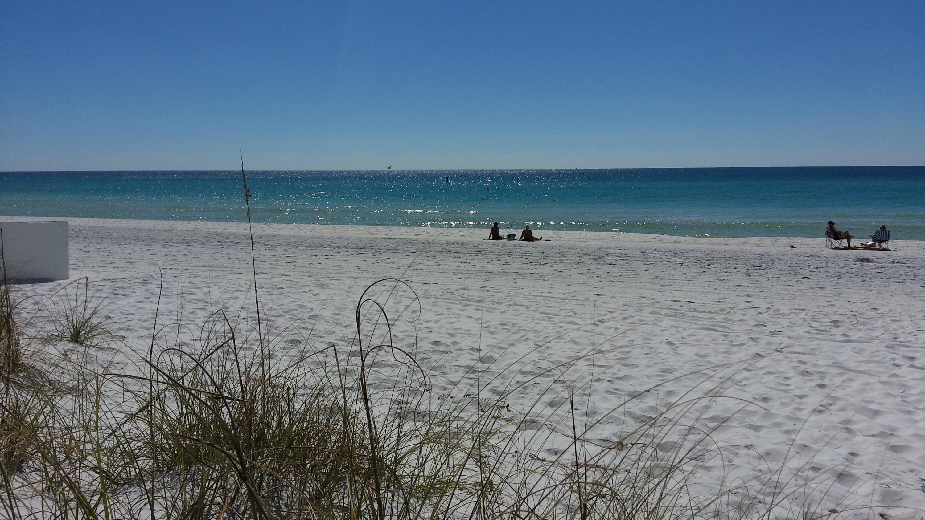 DOLPHIN POINT CONDO - Residential