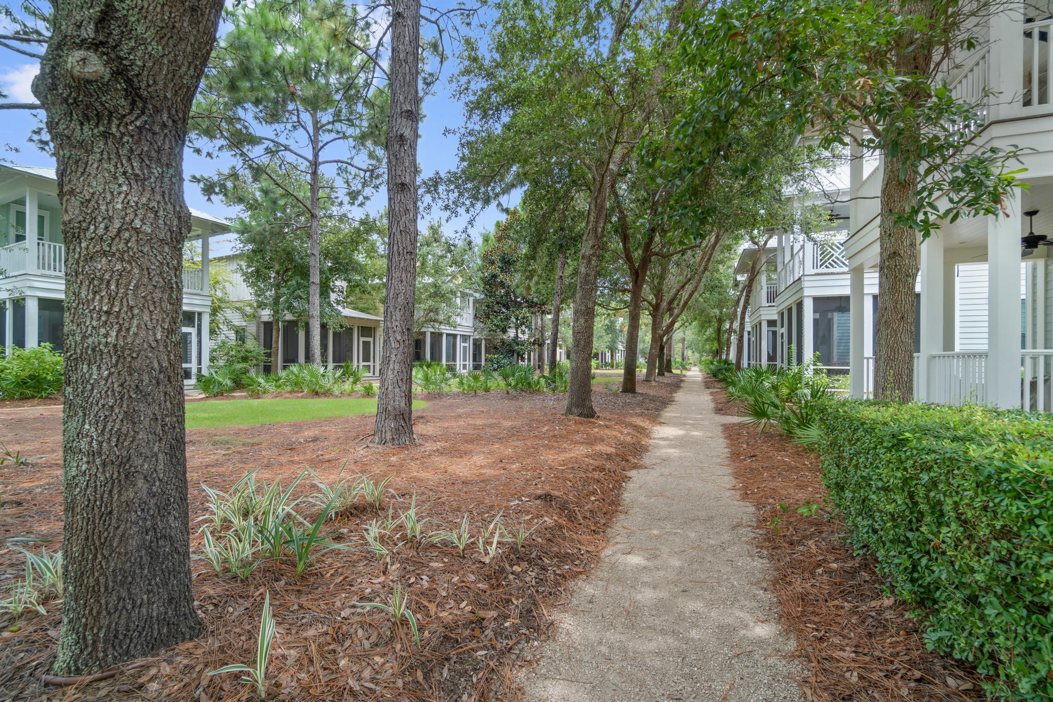 WATERCOLOR - Residential