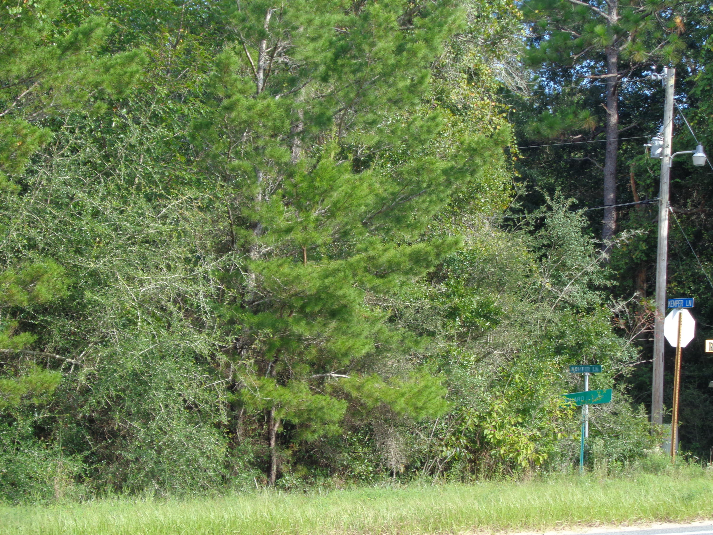 LAKE TANTARA S/D UNRECD - Land