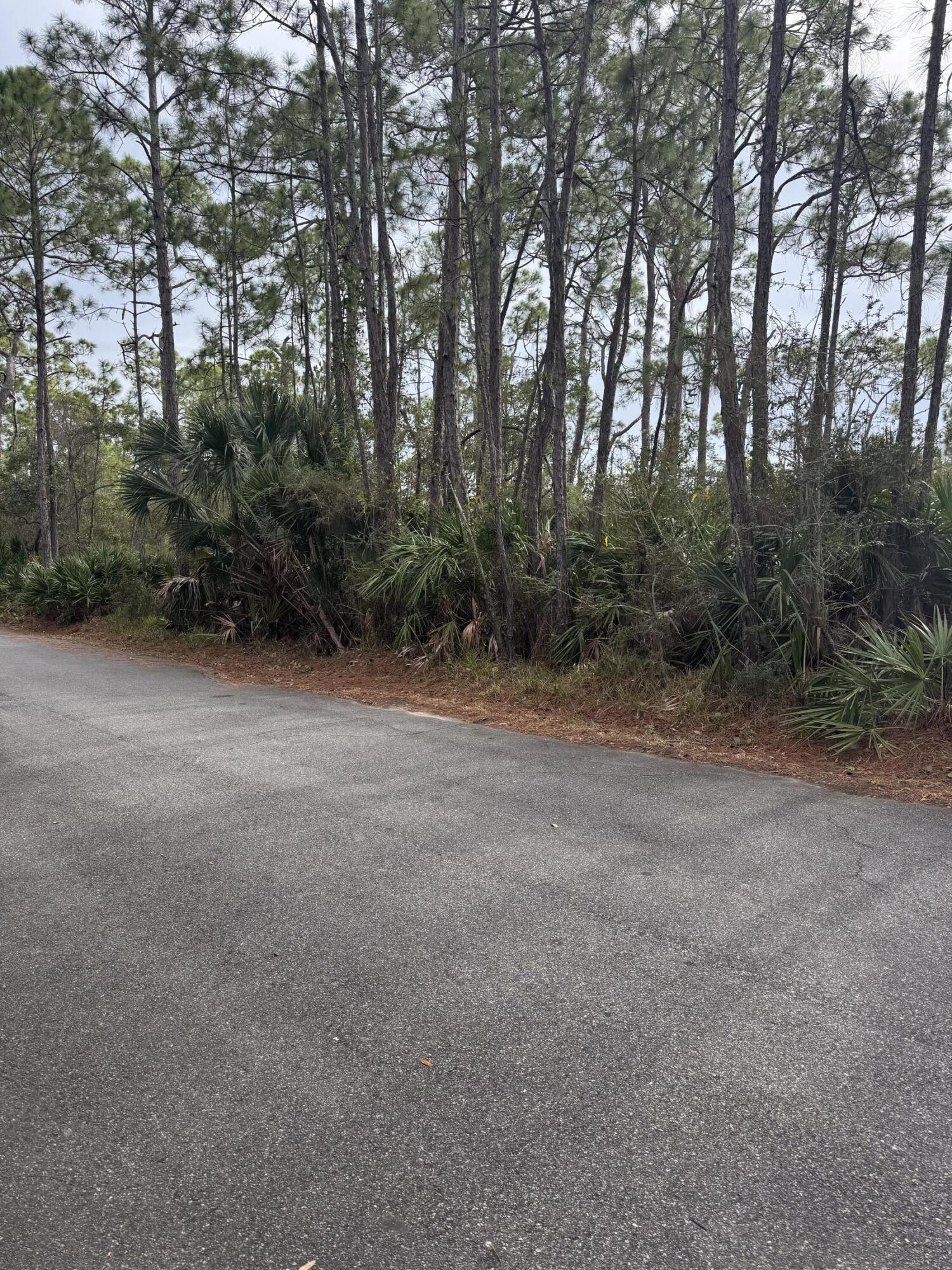 The Plantation on St.George Island - Land