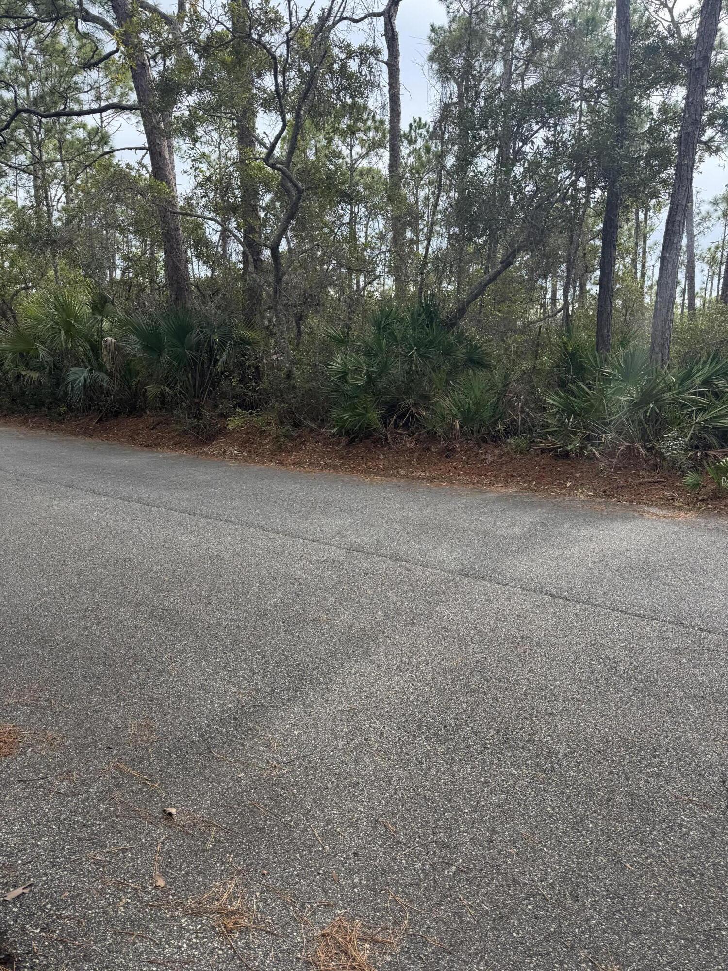 The Plantation on St.George Island - Land