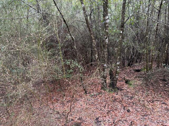 NO RECORDED SUBDIVISION - Land