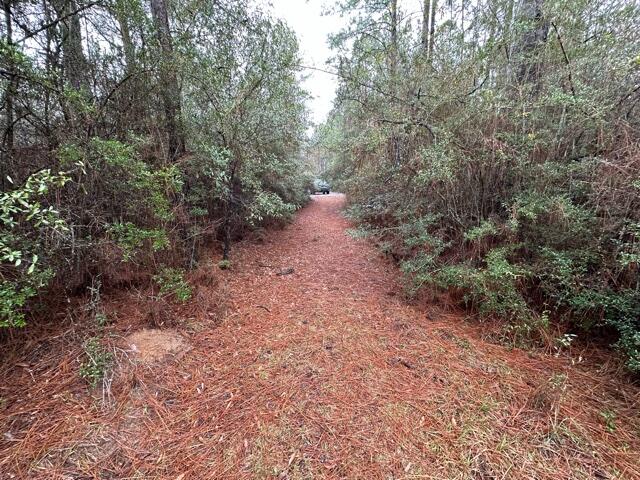 NO RECORDED SUBDIVISION - Land