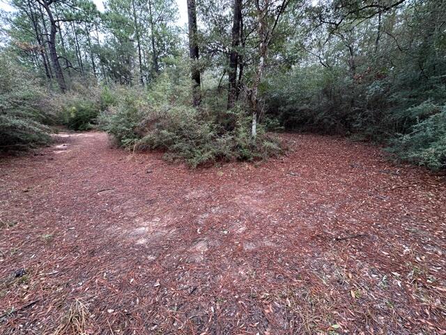 NO RECORDED SUBDIVISION - Land
