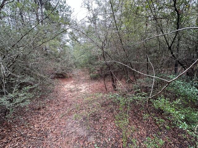 NO RECORDED SUBDIVISION - Land