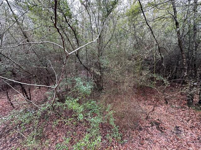 NO RECORDED SUBDIVISION - Land