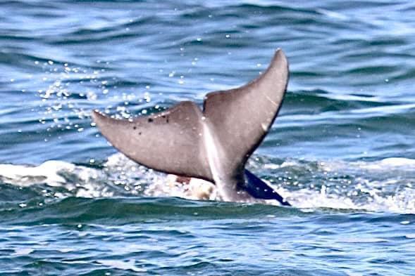 WHISPERING LAKES ESTATES - Residential