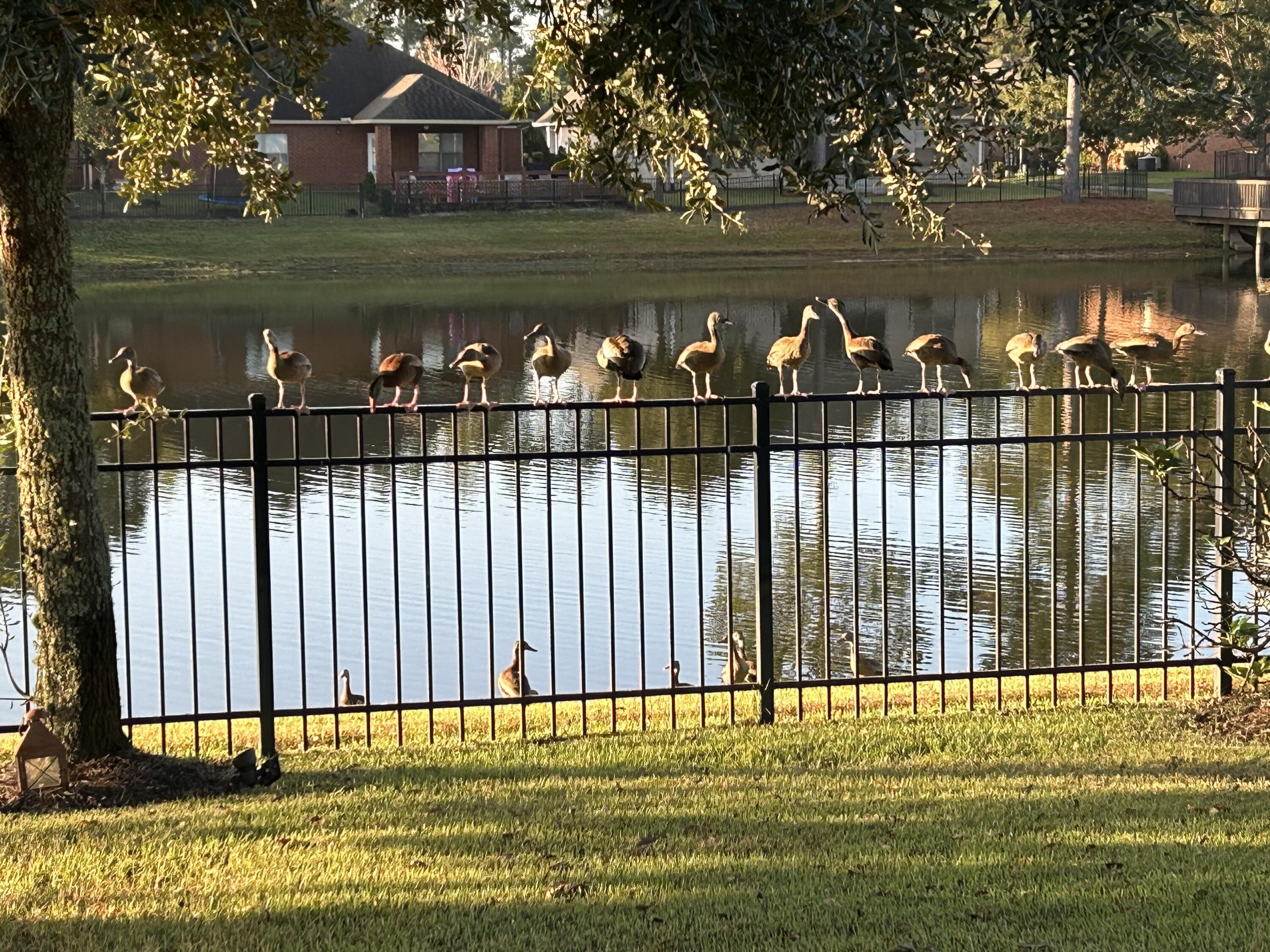 WHISPERING LAKES ESTATES - Residential