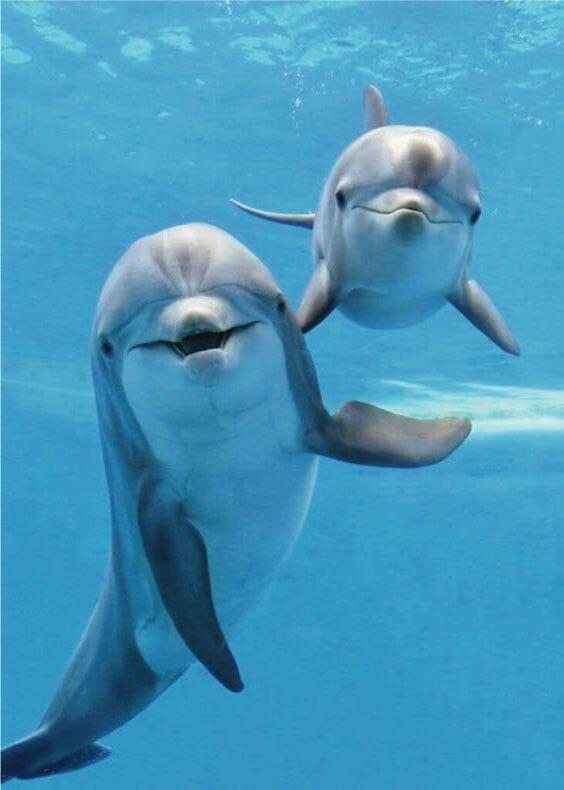 WHISPERING LAKES ESTATES - Residential