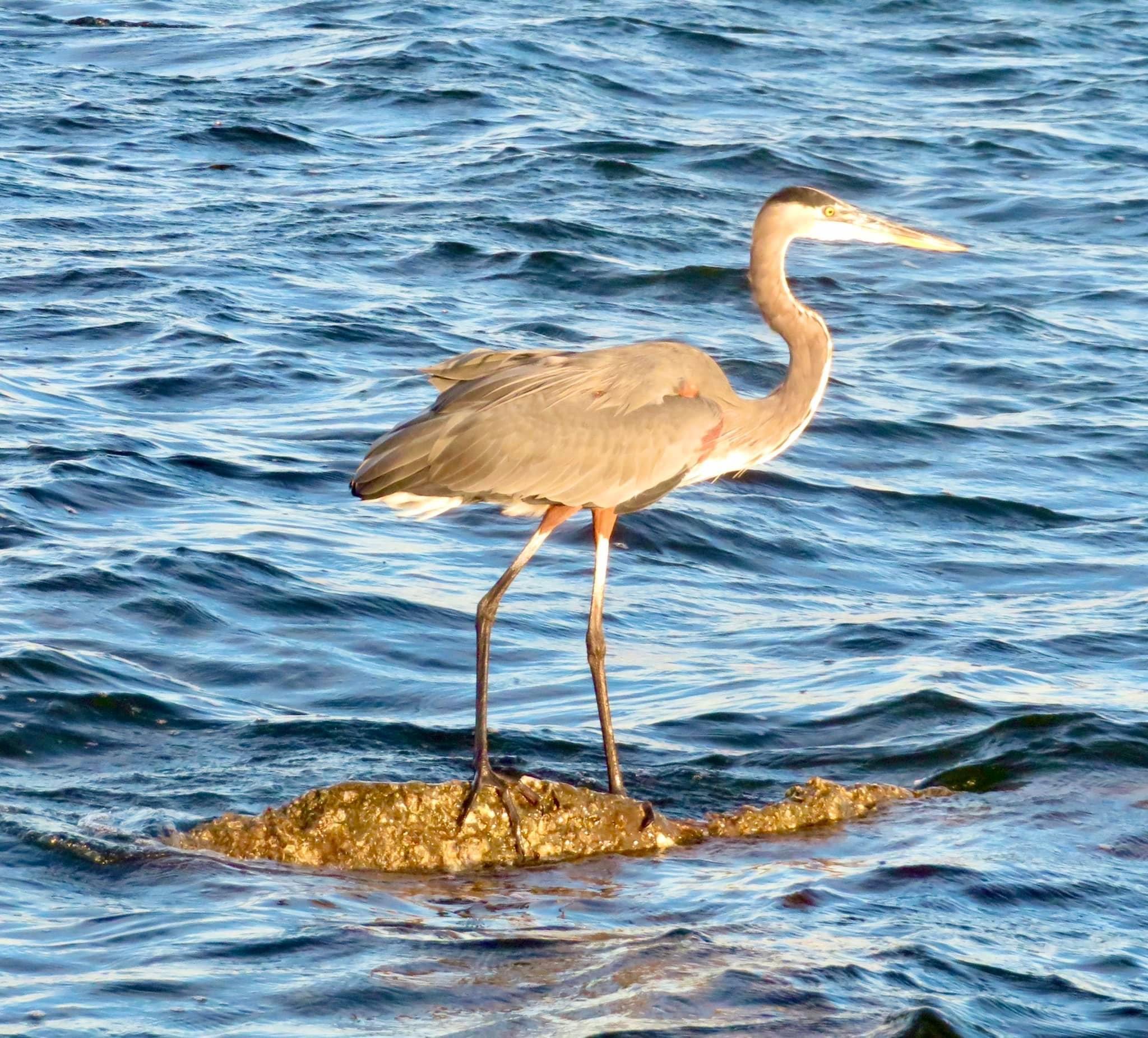 WHISPERING LAKES ESTATES - Residential