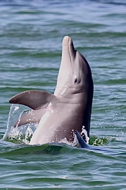 WHISPERING LAKES ESTATES - Residential