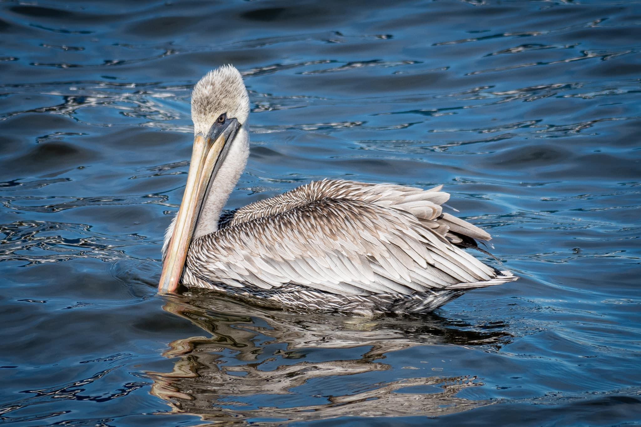 WHISPERING LAKES ESTATES - Residential