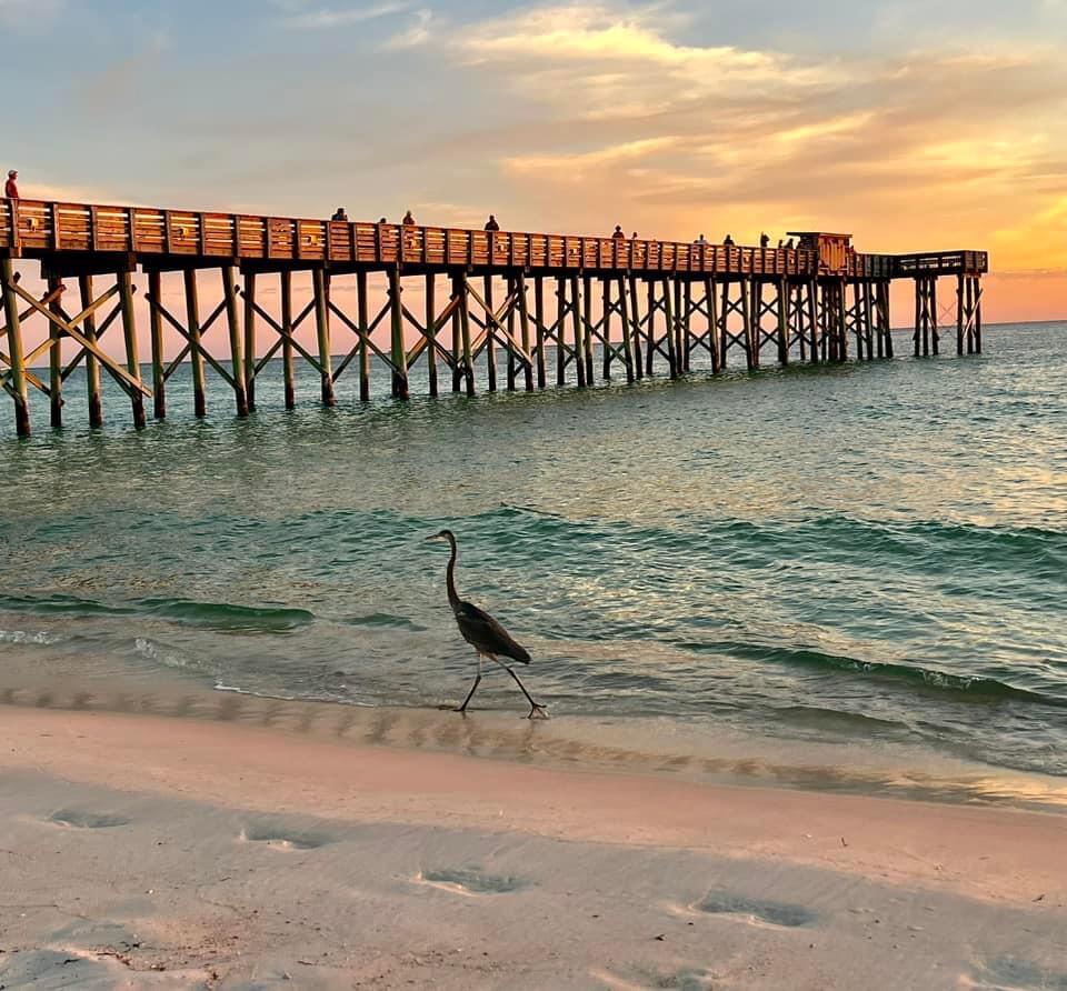 WHISPERING LAKES ESTATES - Residential