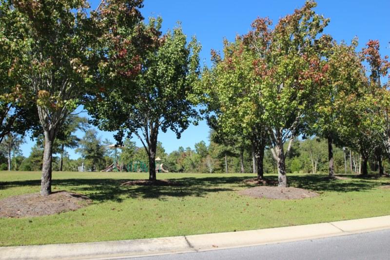 FOX VALLEY PH 3-A - Residential